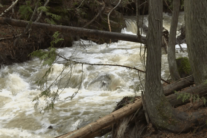 Avoid BX Creek, says RDNO, as hot weather increases snowmelt