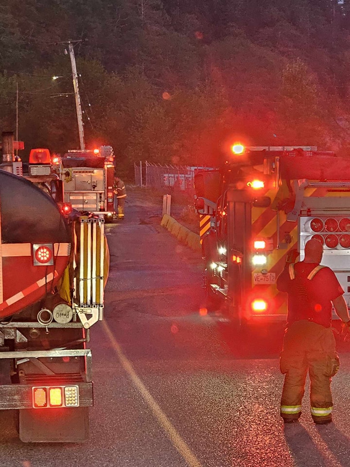 World’s largest burl in Port McNeill B.C. badly damaged in ‘suspicious