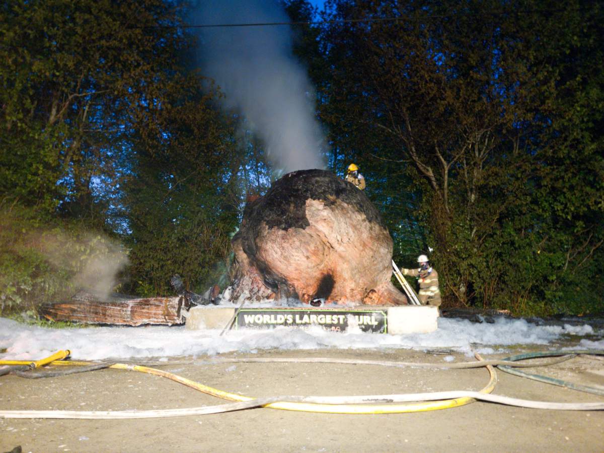 The burl was badly damaged in the fire that police believe was set deliberately.