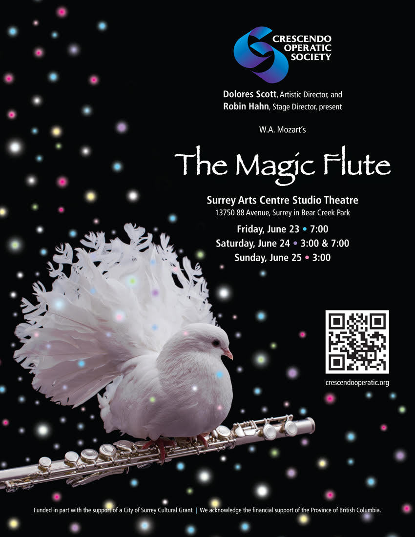 The Magic Flute - image