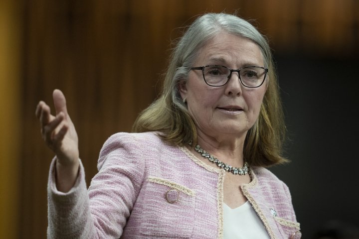 Conservative bill reignites abortion debate as Liberals announce funding