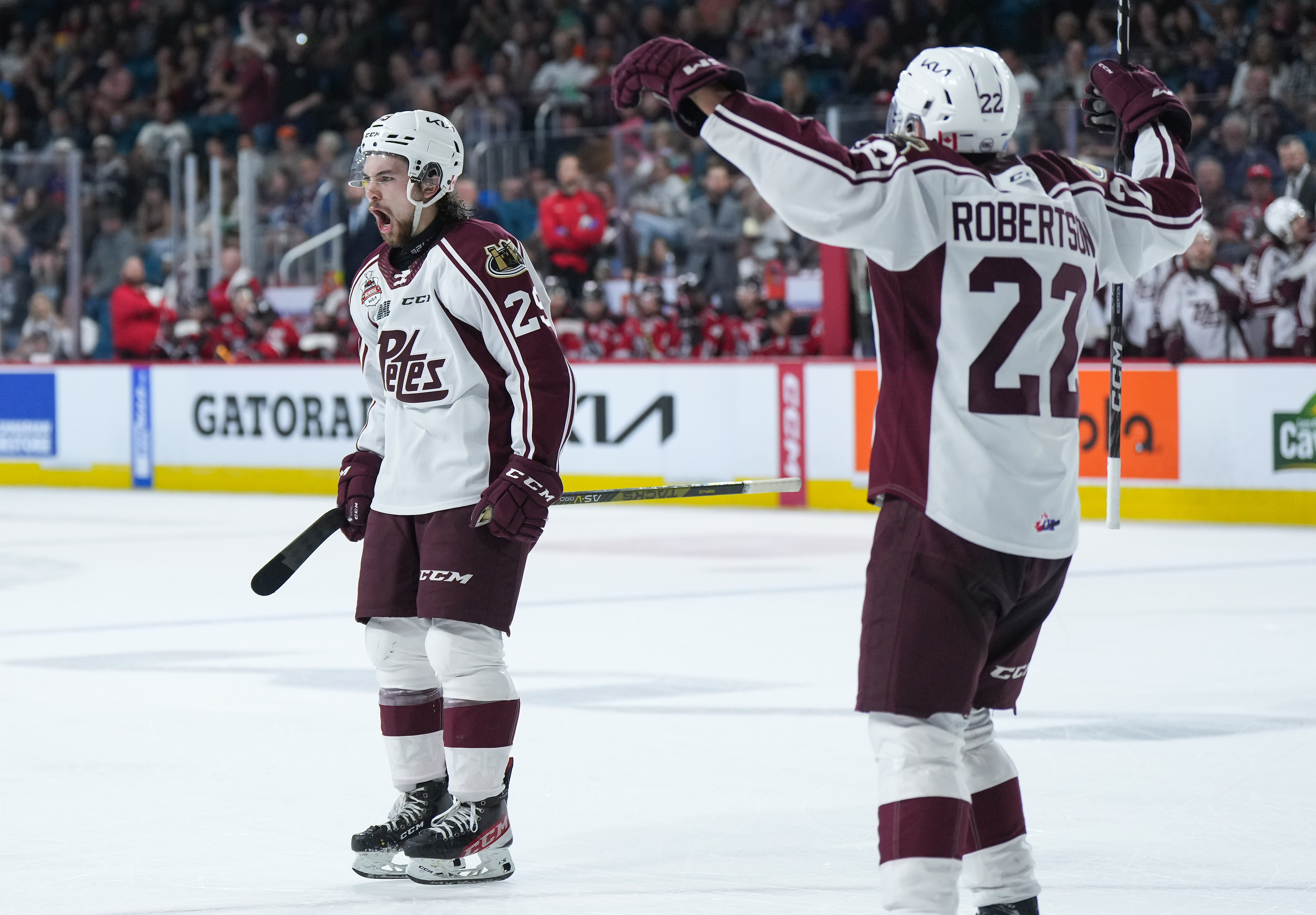 Peterborough Petes Keep Memorial Cup Dream Alive With Win Over Quebec ...