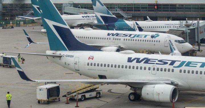 Flight from Edmonton experiences ‘minor’ fire at Toronto Pearson Airport