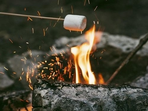 Campfire bans to take effect tin most of B.C. Thursday