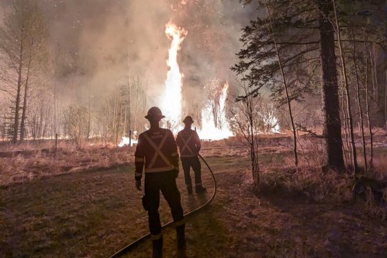 Firefighters battling the wildfire near Drayton Valley in Brazeau County, Alta. in May 2023.