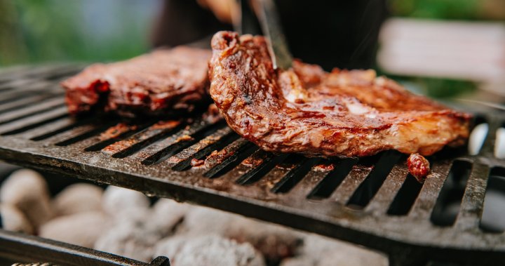BBQ season is here. How to stay safe as the risk of food-borne illness spikes – National | Globalnews.ca