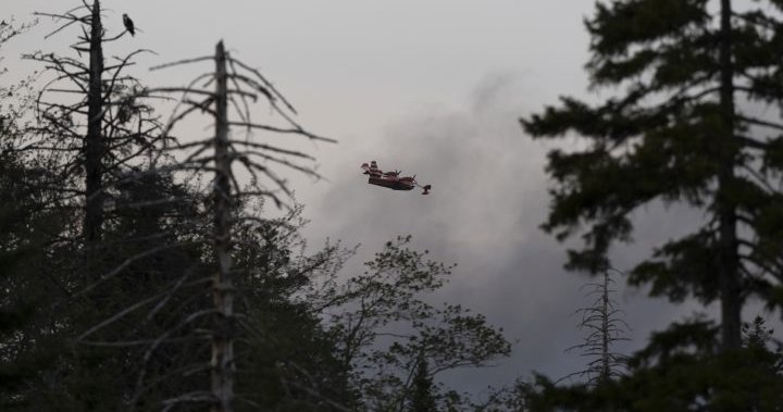 Nova Scotia wildfires: Ottawa ready to assist as blaze burns near Halifax  | Globalnews.ca