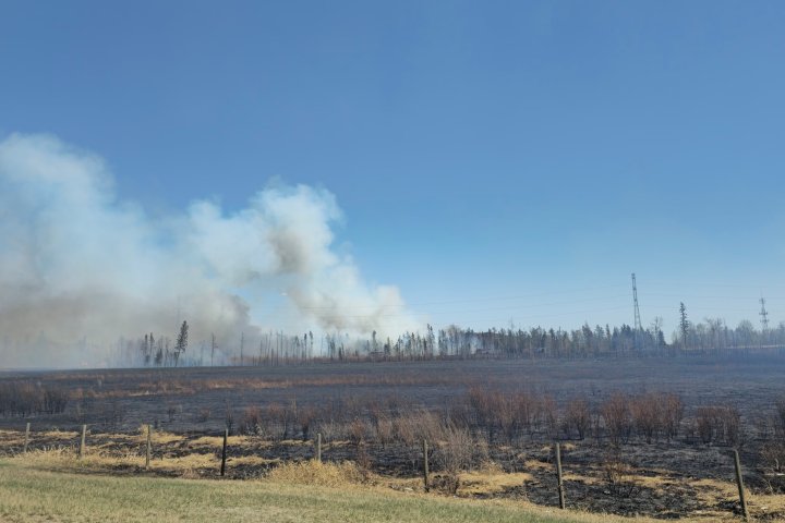 Another wildfire breaks out along Anthony Henday Drive in west Edmonton