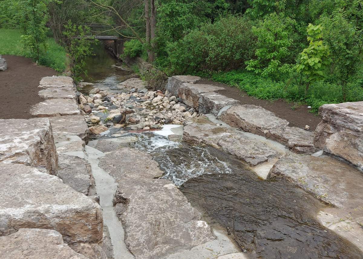 Howitt Creek in Guelph, Ont., after repairs were made to a broken sewer pipe.