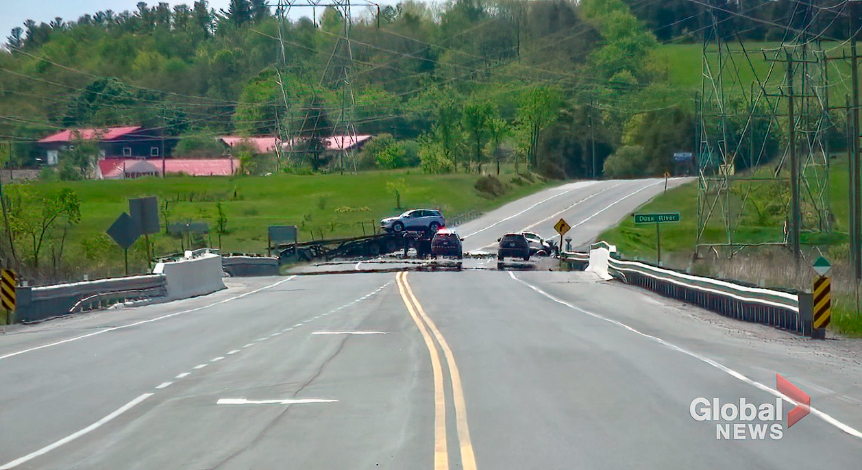 1 dead following Hwy. 7 collision east of Peterborough: OPP - Peterborough - Vimarsana News