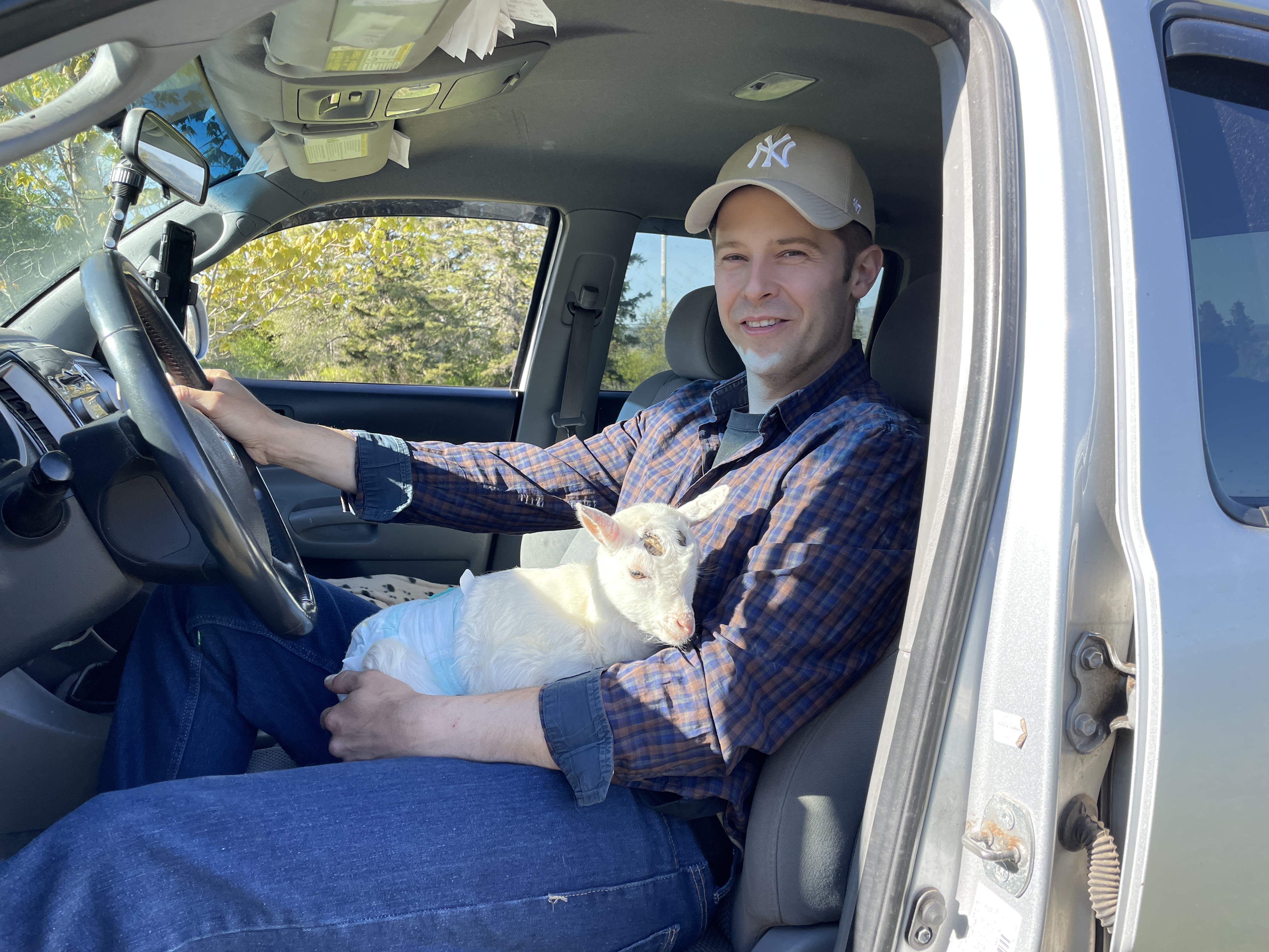 N.B. family welcomes baby goat who ‘acts like a dog’ into their home – New Brunswick | 24CA News