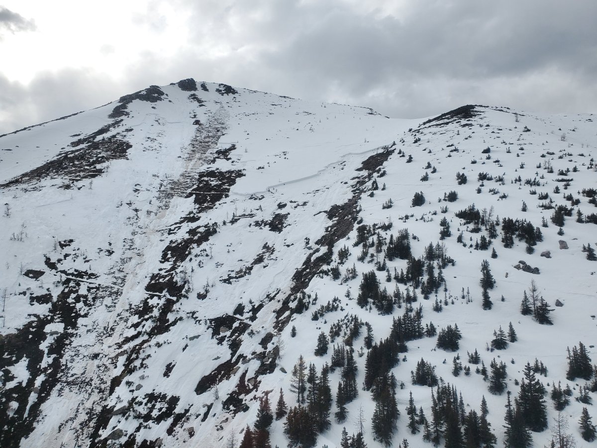 The aftermath of an avalanche that occurred near a popular hiking destination near Lake Louise, Alta.