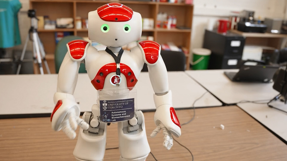 Leia, the socially assistive robot