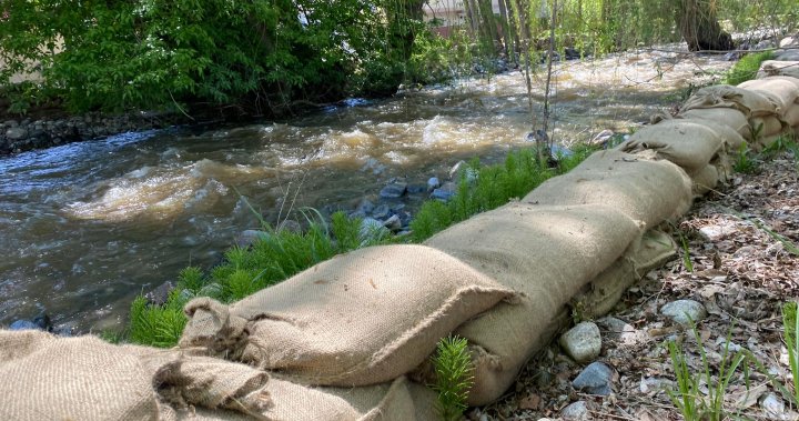 Okanagan Falls, B.C. residents, officials closely monitoring creek levels