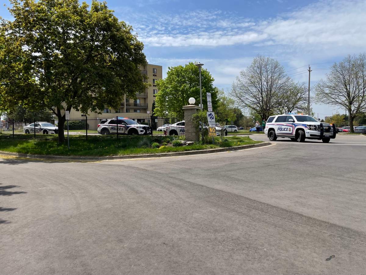 Multiple London police cruisers line a street on a sunny day in London, Ont.