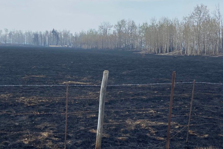 Alberta wildfires: Evacuation order lifted for Evansburg, areas around Wildwood