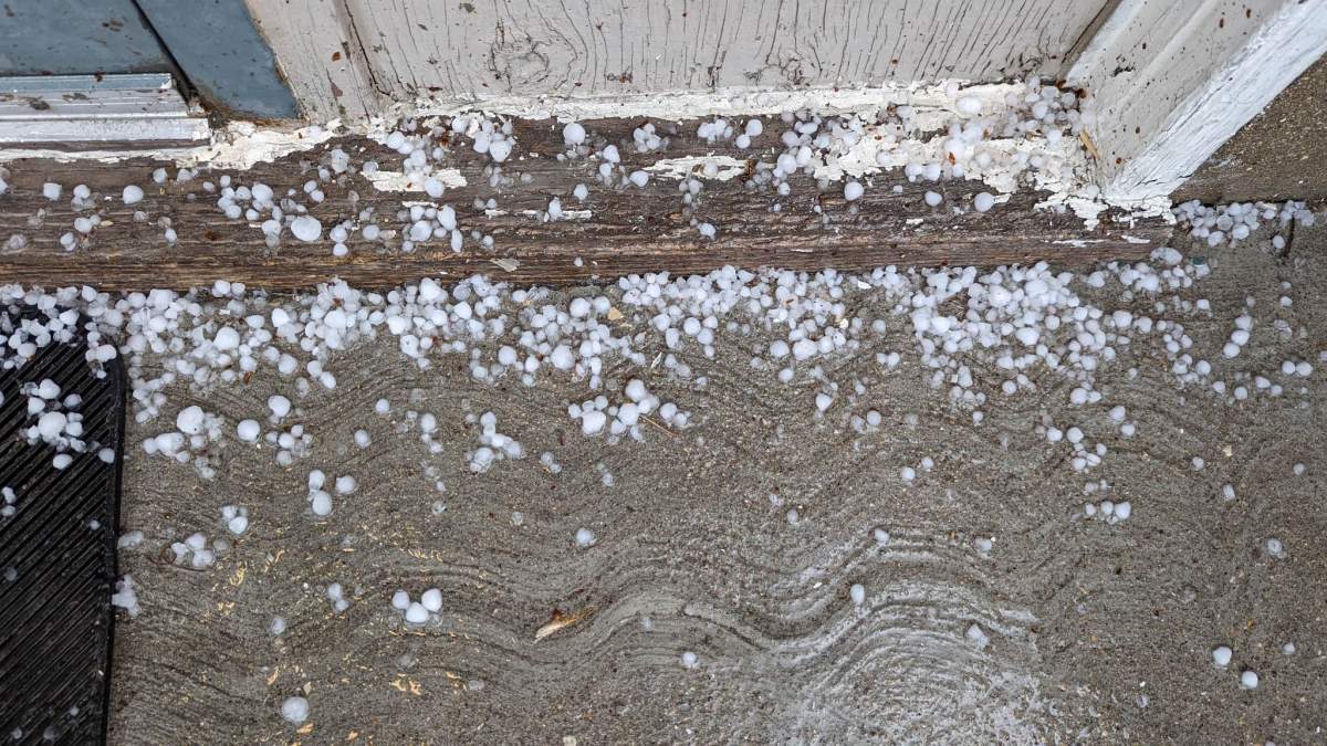 Hailstones seen after Wednesday’s storm.