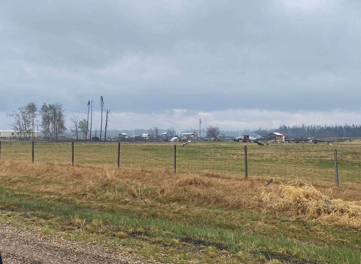 Alberta wildfires Mayor of Yellowhead County wants provincial election