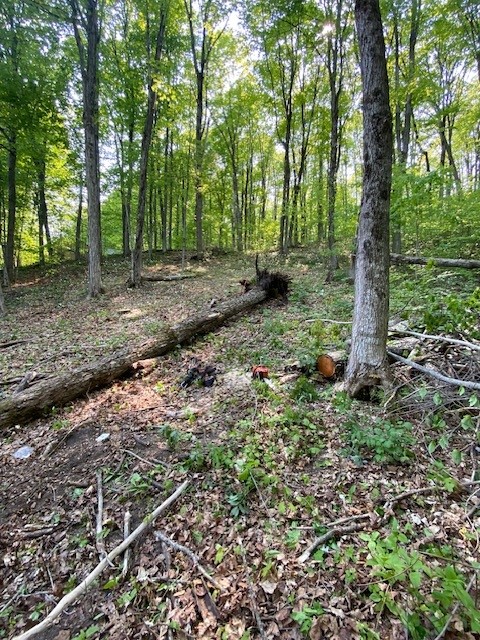 The man who died was identified as a 45-year-old from Springwater Township.