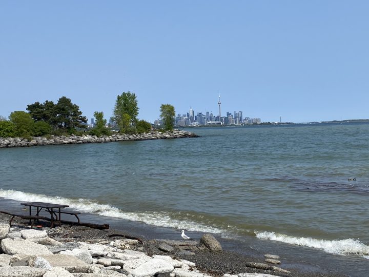 Police say a man and woman were pulled from the water of Lake Ontario in Etobicoke on Monday, May 22, 2023.
