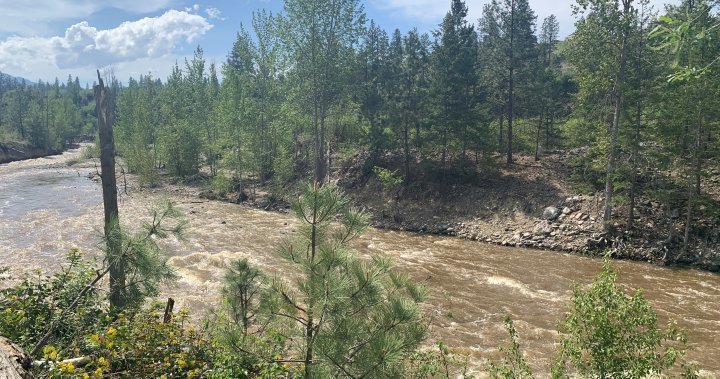 Rising water levels, rising danger along Okanagan creeks and rivers – Okanagan | Globalnews.ca