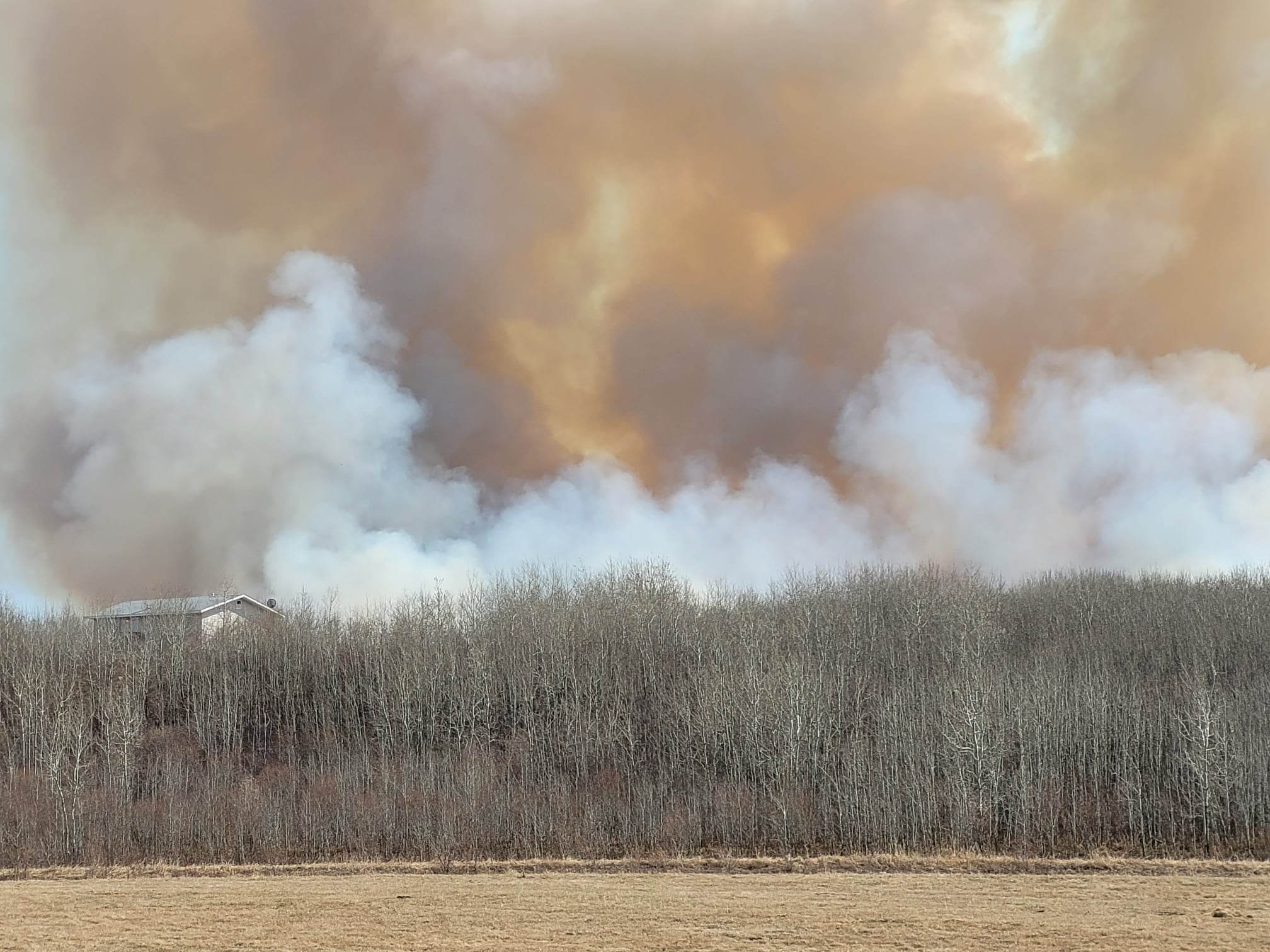 Wildfire on Moosomin First Nation engulfs 7,000 acres and counting - Vimarsana News