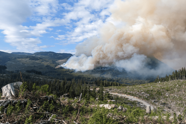 90-hectare fire burning out of control on northern Vancouver Island