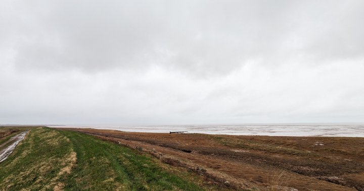 Chignecto Isthmus communities under increasing threat of coastal flooding: experts