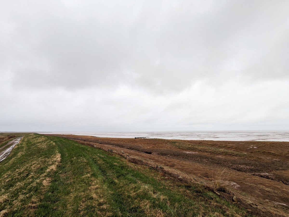 A New Brunswick senator has introduced a bill that would declare the Chignecto Isthmus, a narrow land link between his province and Nova Scotia, a federal responsibility.