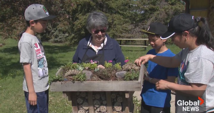 New demonstration garden promotes sustainability in Calgary