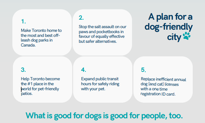 The Toby and Molly for Mayor campaign has a range of policies targeted at making Toronto more dog friendly.