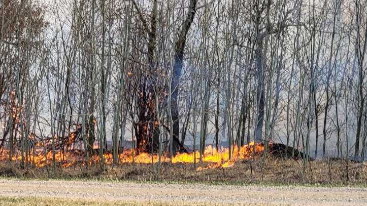 There are currently 29 active fires in Saskatchewan. 