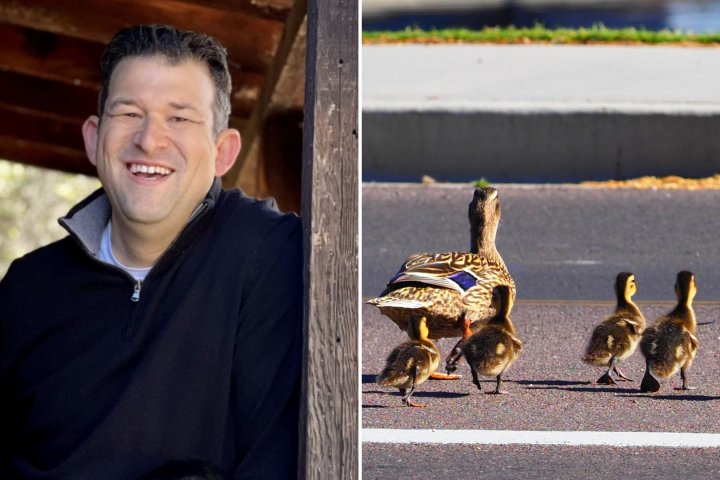 Man struck, killed as he stopped to help ducks cross busy California street