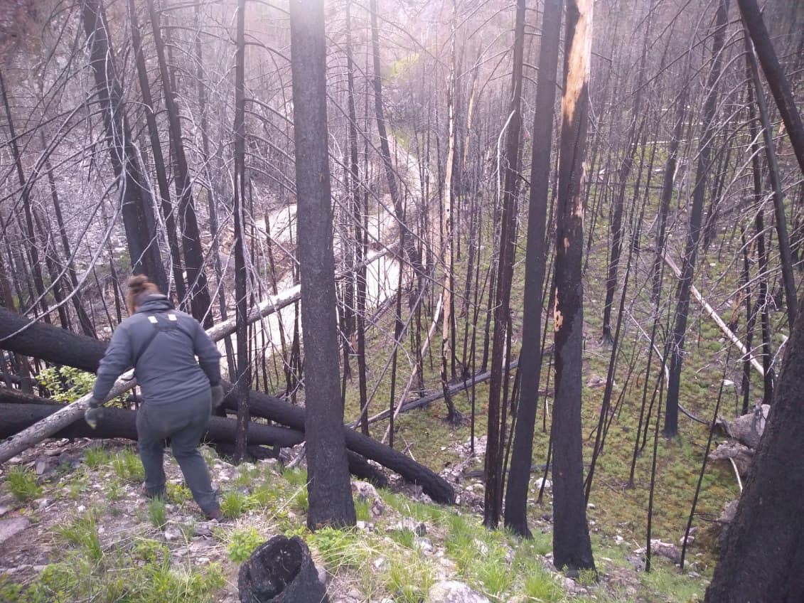 Some of the steep terrain Vernon Search and Rescue crews had to navigate in rescuing two people stranded on Whiteman Creek Forest Service Road on Thursday evening.