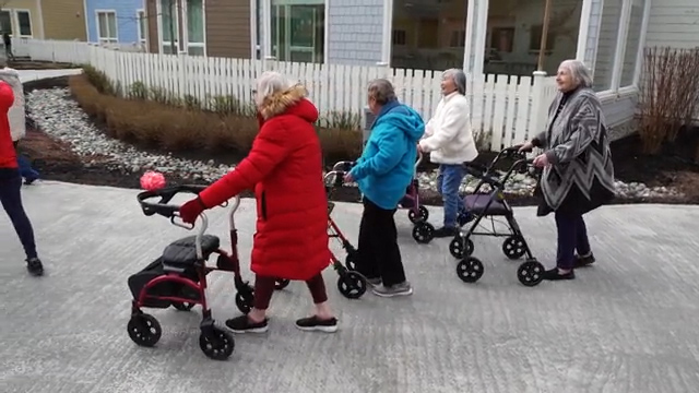 A group of Villagers out for a walk