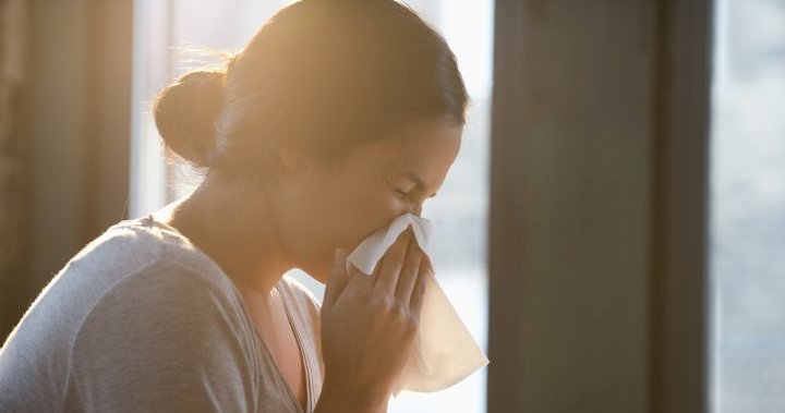 Climate change causing more allergies among Canadians, experts warn – National | Globalnews.ca