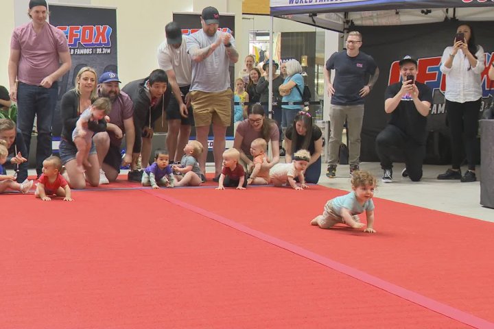 Start your engines: 10 babies face off in CFOX Baby 500 race for $5,000