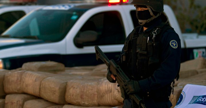 10 dead after gunmen open fire at car rally in Baja California