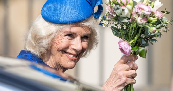 What is the controversy around Camilla’s coronation crown?