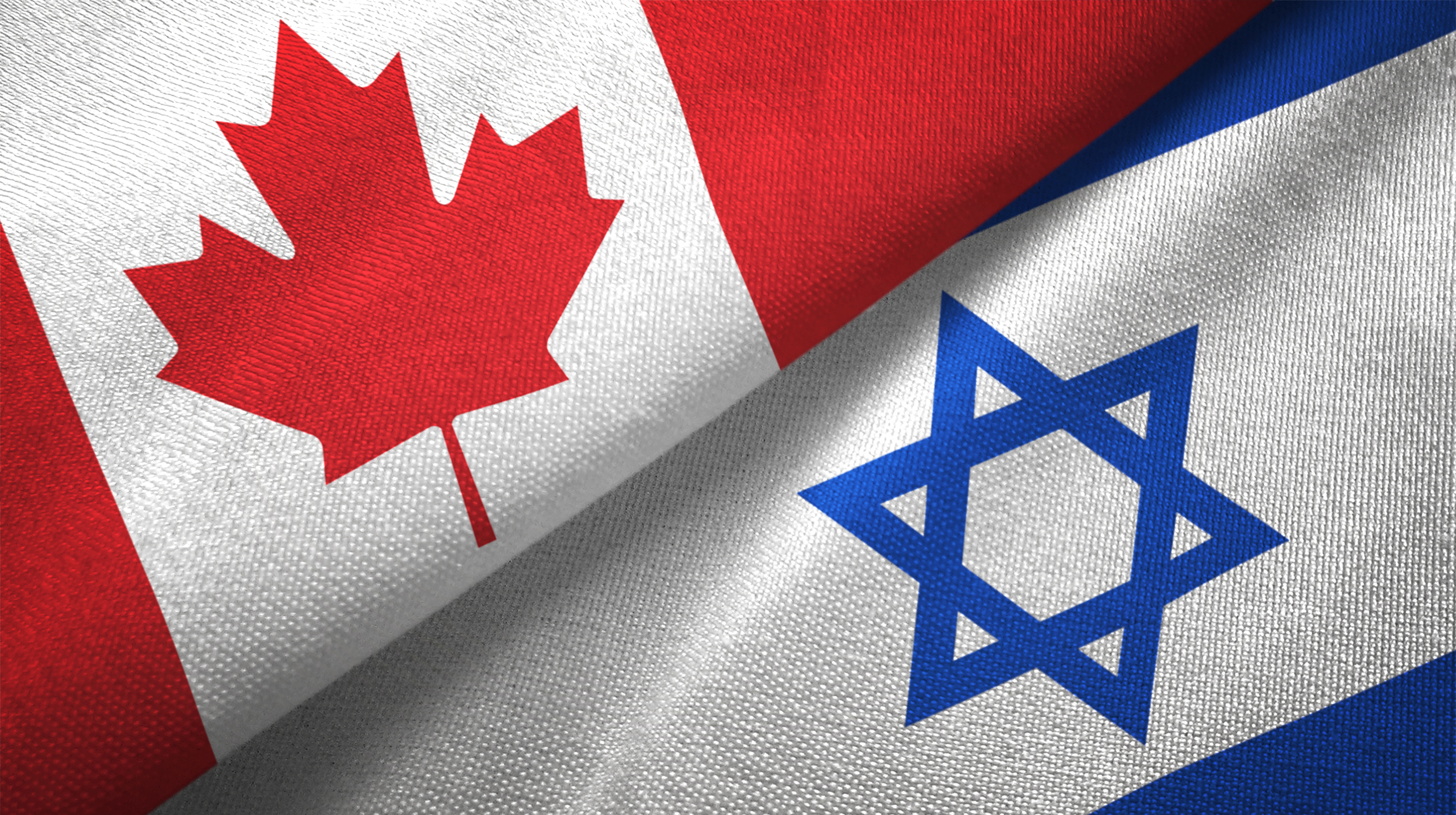 Israel’s judicial reform plans under scrutiny as Canadian MPs debate – National | 24CA News
