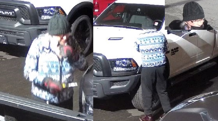 Coquitlam RCMP are looking to identify this woman, who is accused of deliberately damaging more than 400 vehicles at a Port Coquitlam auto dealership.