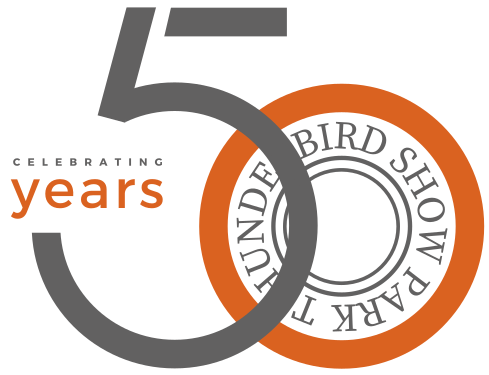 Major League Show Jumping - image