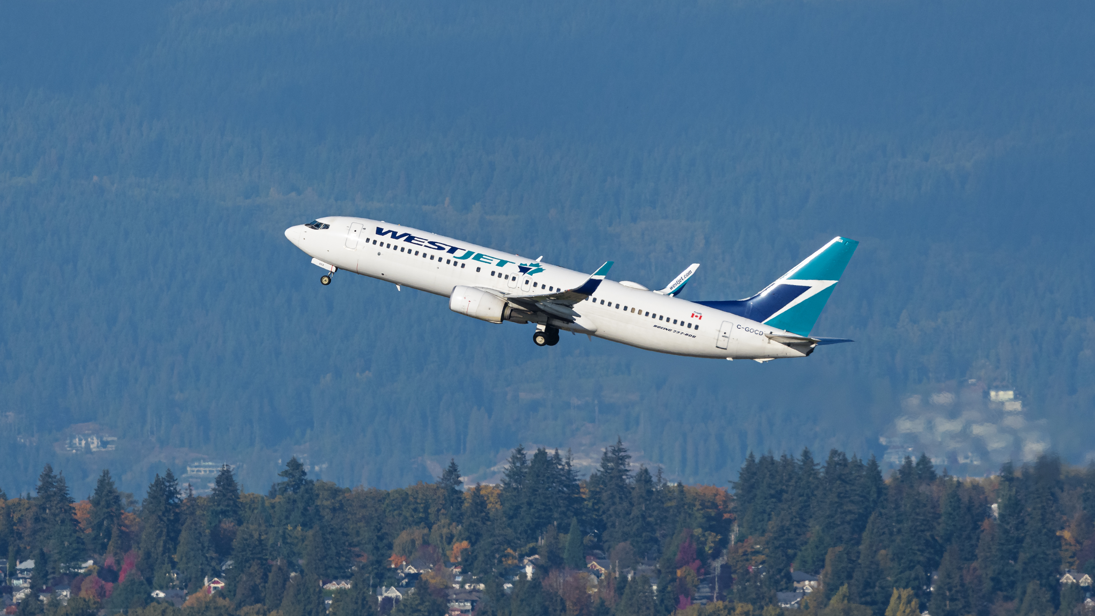 WestJet vows to do better for guests with disabilities amid complaints