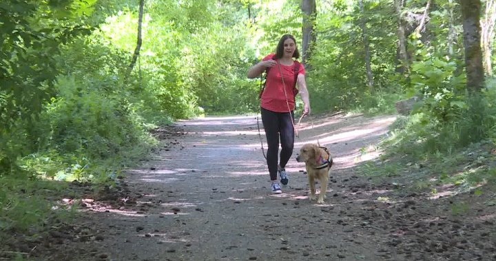 Trailblazing: Blind Paralympian and her guide dog find missing woman on Vancouver Island