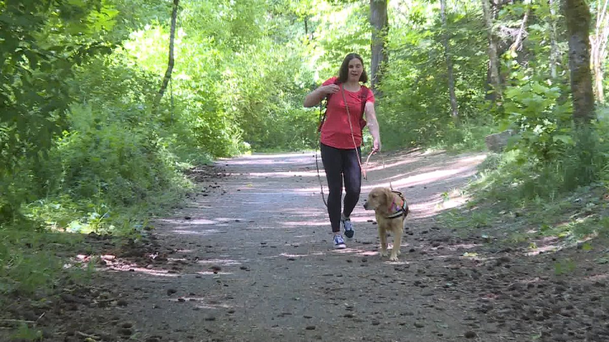 Saanich Paralympian Jessica Tuomela walks her guide dog Lucy in the woods near her home on Wed. May 30, 2023. The pair recently found a missing person together with help from special scent trailing training received from a Florida-based company.