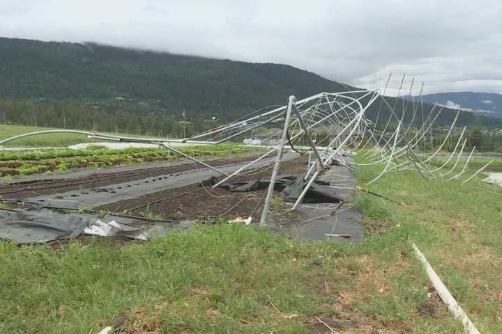 Community rallies around North Okanagan farms dealing with storm damage