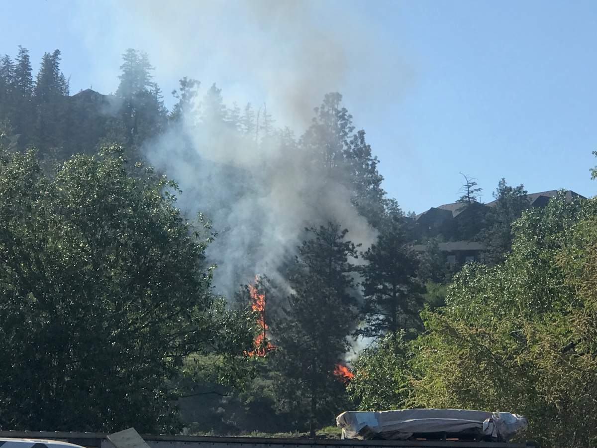 The grass fire on a hill in Kelowna, B.C.