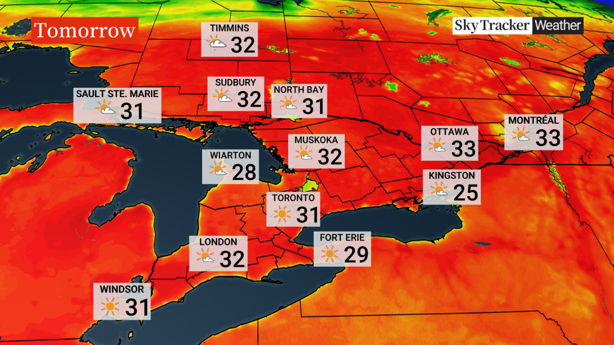 ‘Stay in a cool place’: Heat warning issued for Toronto - image