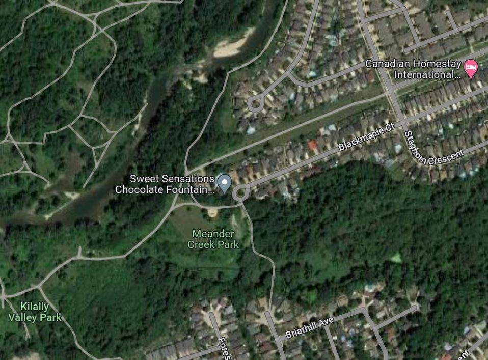 Satellite imagery of a park area in northeast London, Ont.