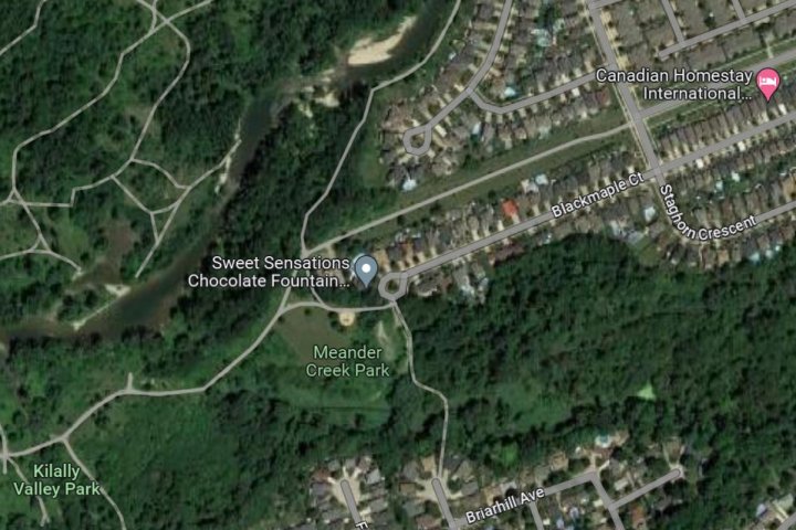 2 separate women report naked man in northeast London, Ont. park area